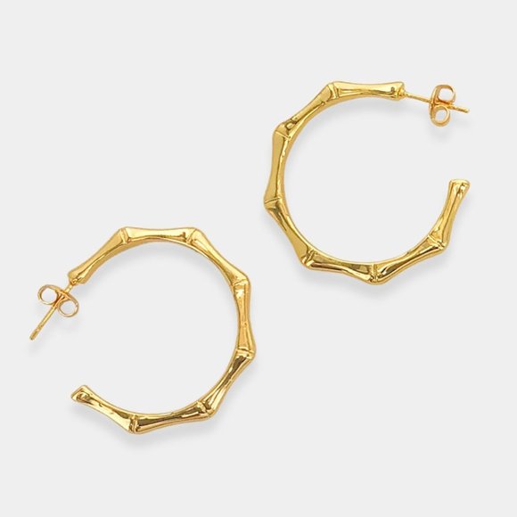SueSue Jewelry - NEW 18K Gold Filled Bamboo Hoop Earrings